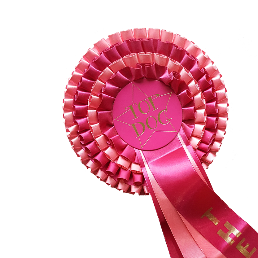 Close up of a pink rosette